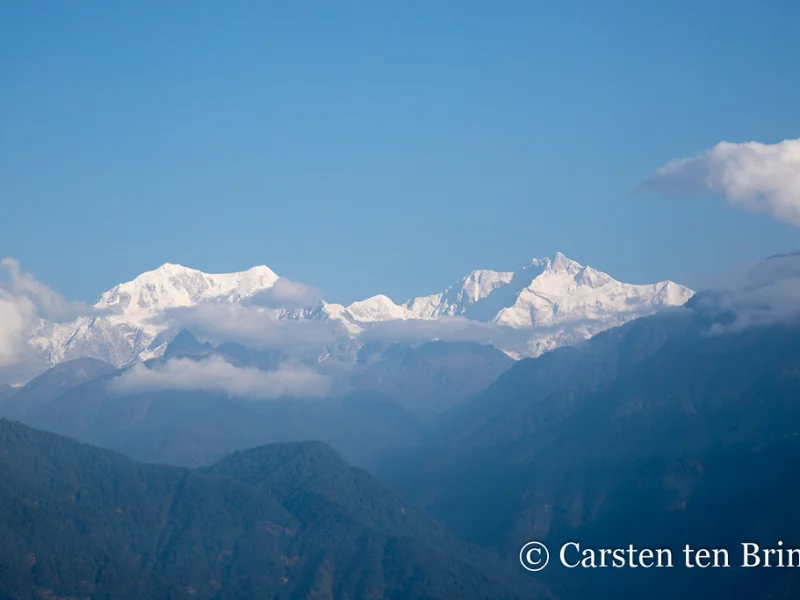 Pelling
